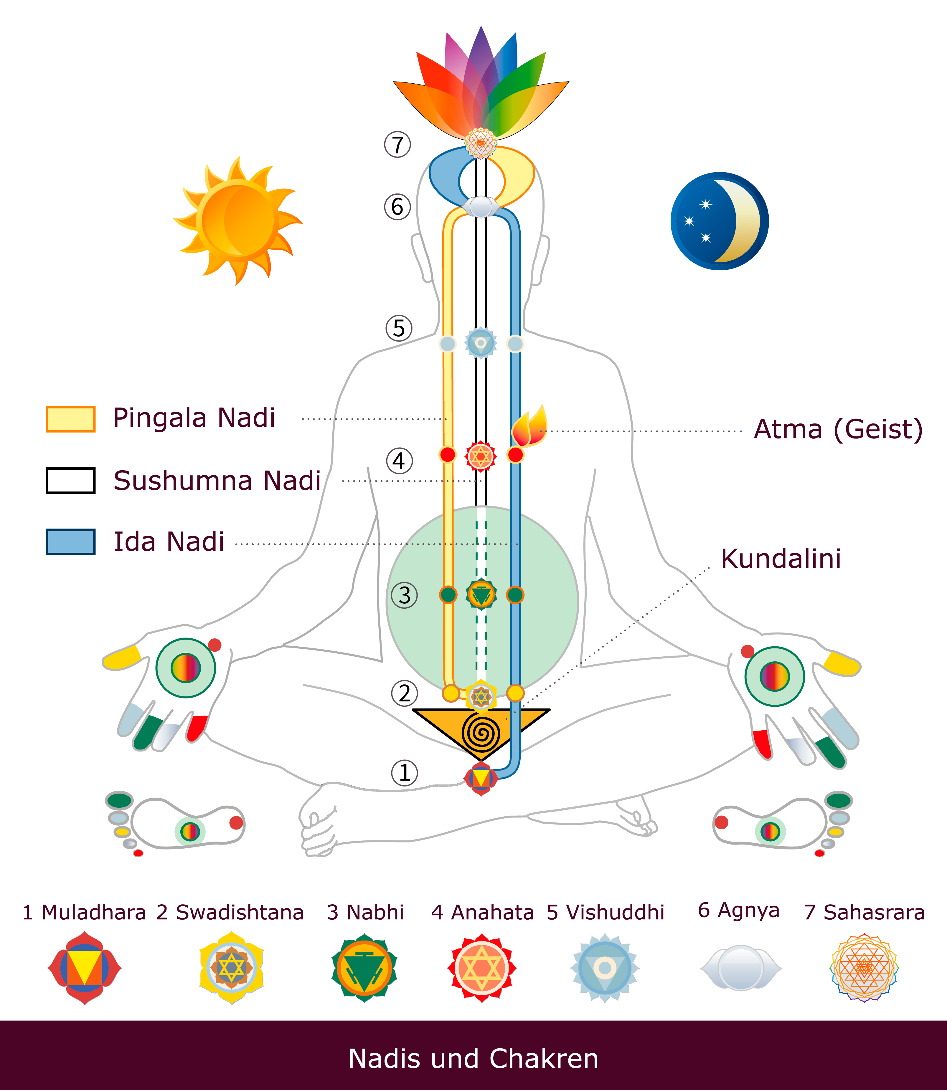 01_Nadis-und-Chakren